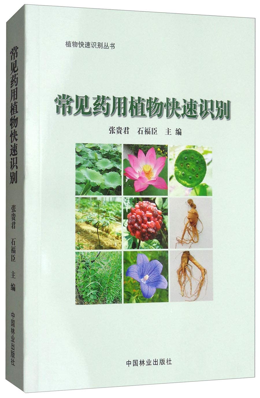 Guijun Zhang, Fuchen Shi: 常见药用植物快速识别 (Paperback, chinese language, 中国林业出版社)