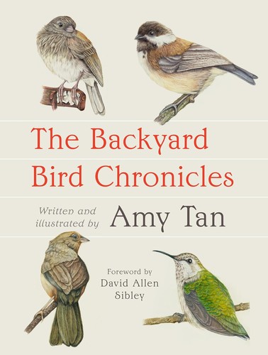 Amy Tan, David Allen Sibley: Backyard Bird Chronicles (2024, Knopf Doubleday Publishing Group)